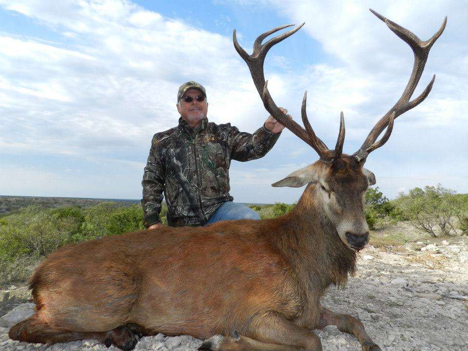 Red Stag Red Stag